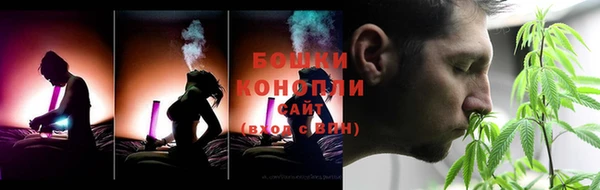 дмт Лиски