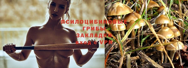дмт Лиски