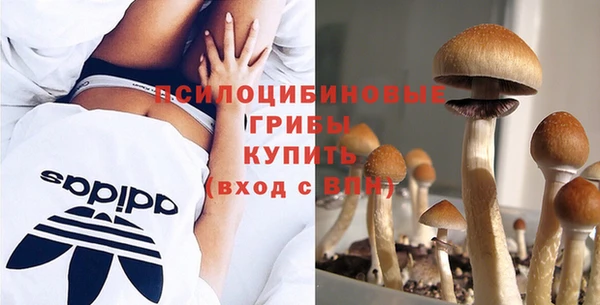 дмт Лиски